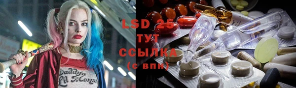 винт Гусь-Хрустальный