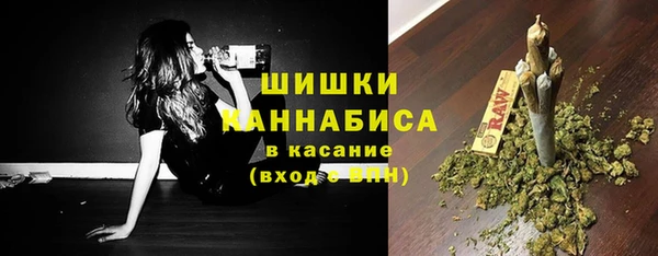 винт Гусь-Хрустальный