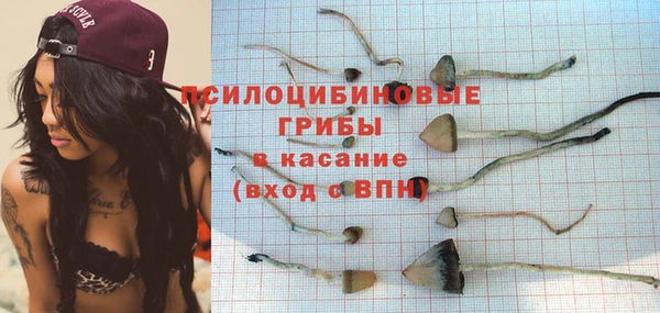 крисы Гусев