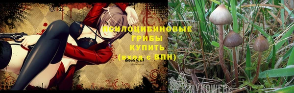 кокс Гусиноозёрск