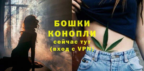крисы Гусев