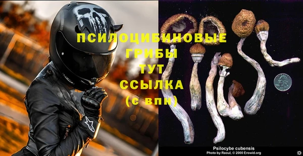 винт Гусь-Хрустальный