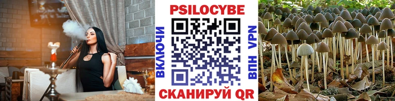 Купить Нюрба Псилоцибиновые грибы MAGIC MUSHROOMS