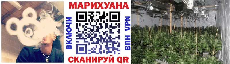Каннабис SATIVA & INDICA  Купить  Нюрба 